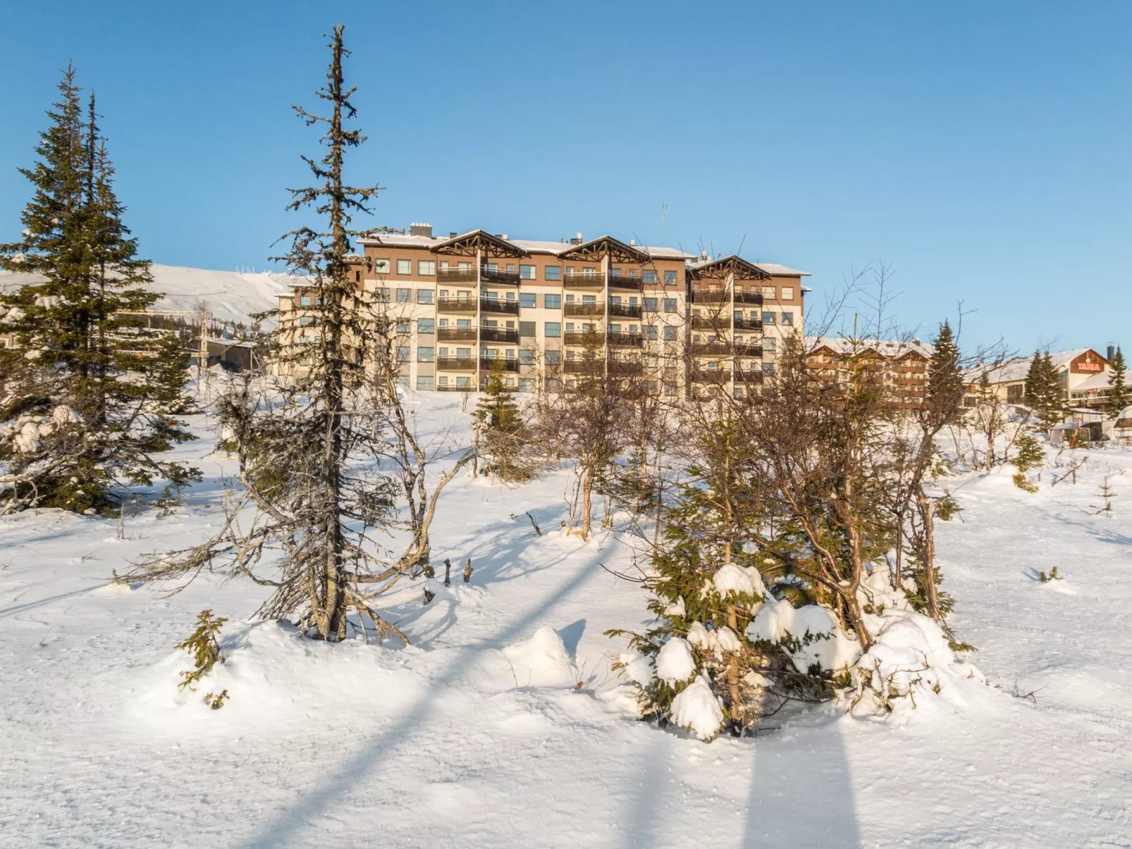 Nordic chalet 9209-Inside