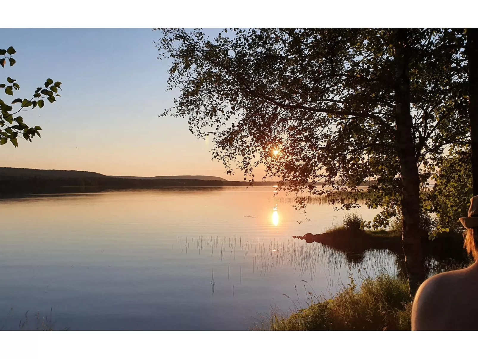 Koivulahden reinola-Inside