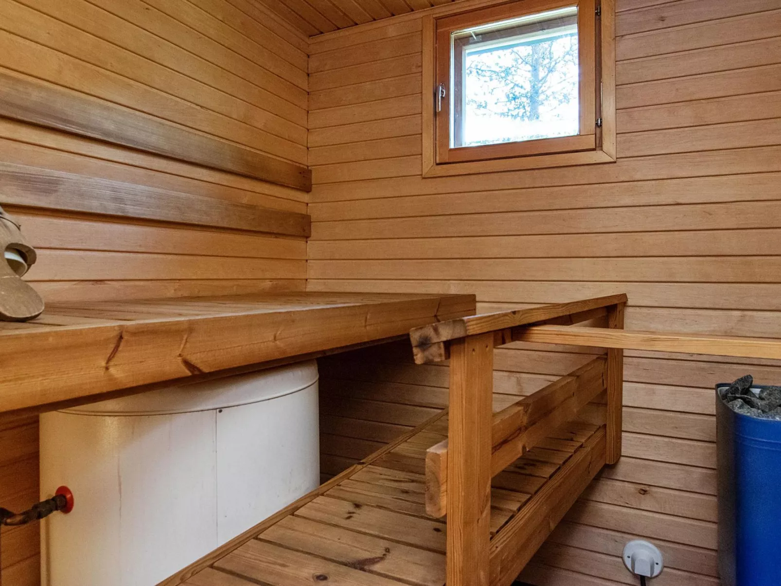 Tunturikoivu a2-Inside