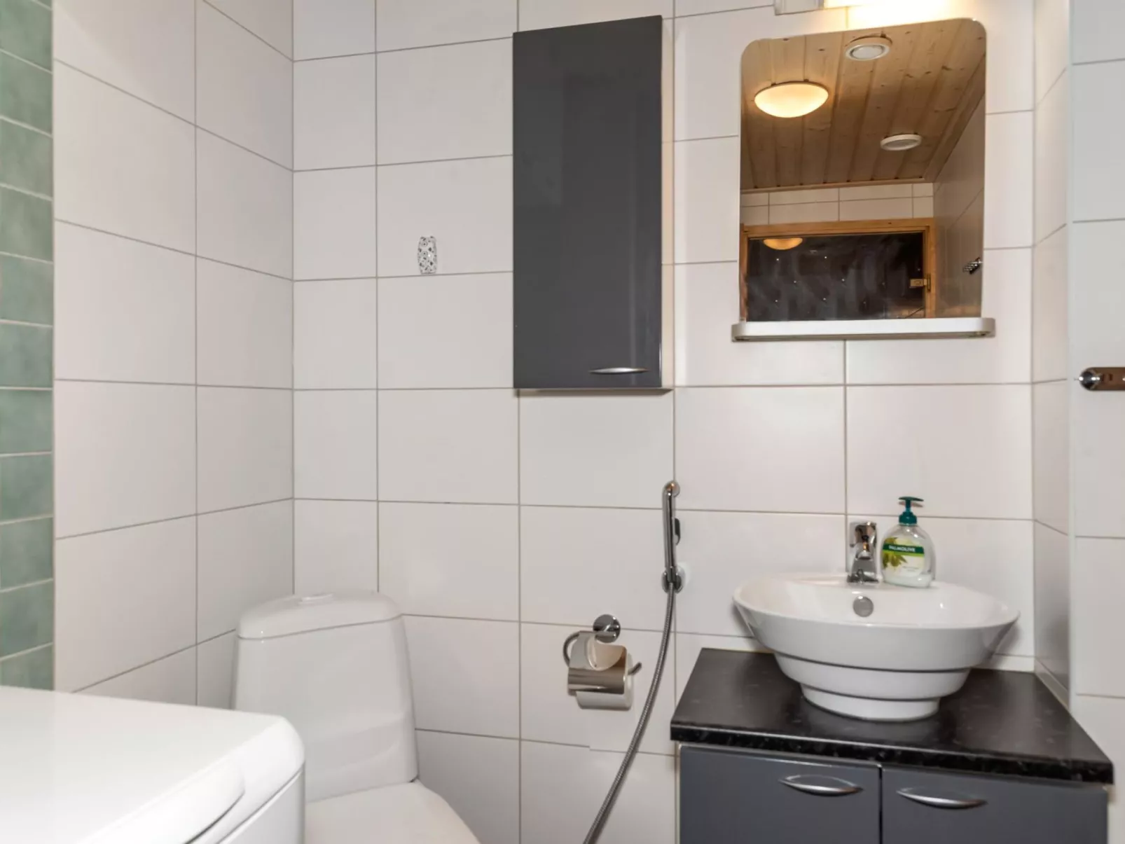 Ylläs-eeli green house c2-Drinnen