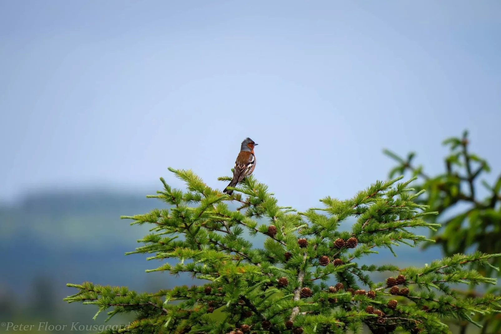 Maison de vacances dans le Jutland central-Non tagué