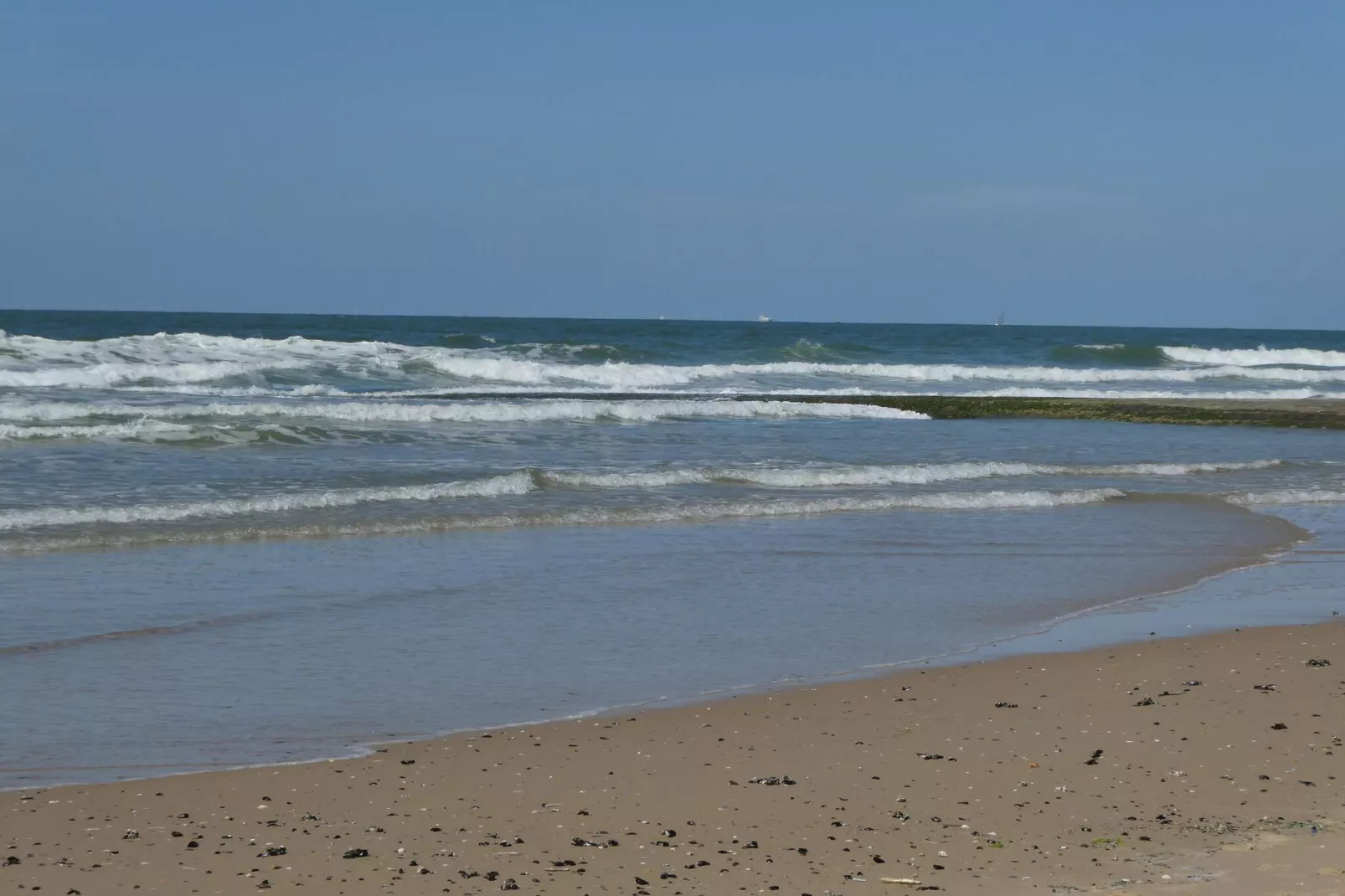 De Rede-Areas within 5km in summer