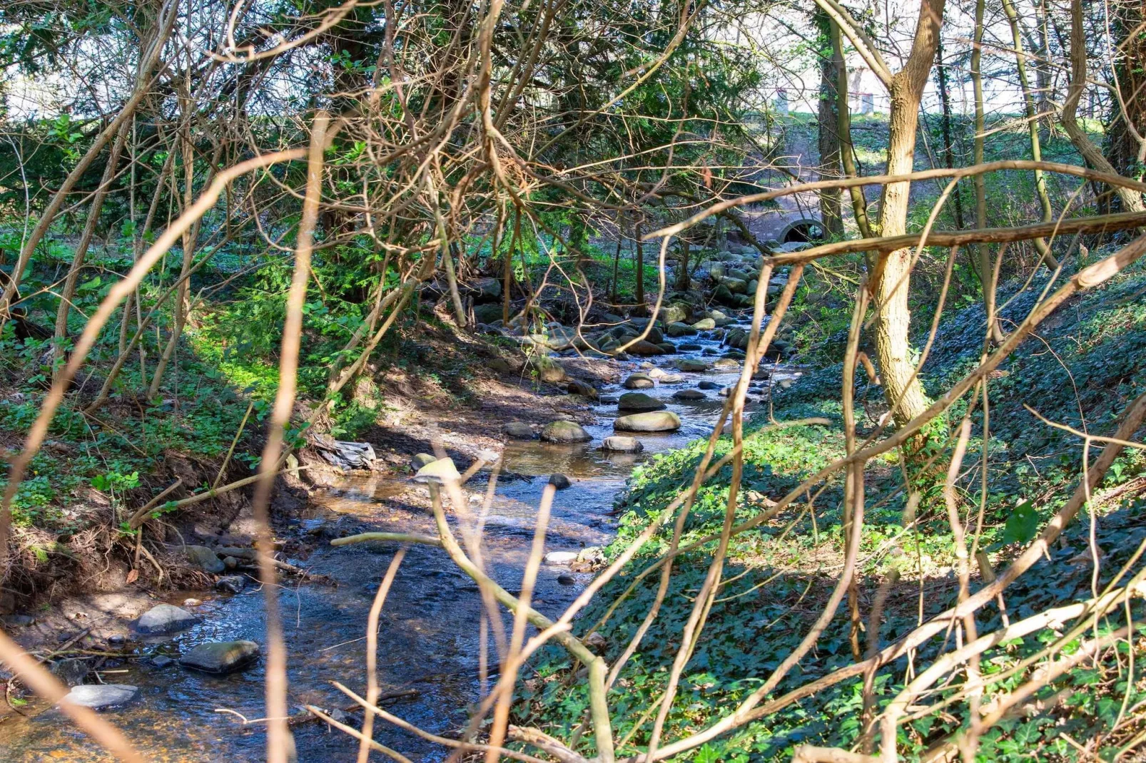 Beautiful cottage near the beach-Water view