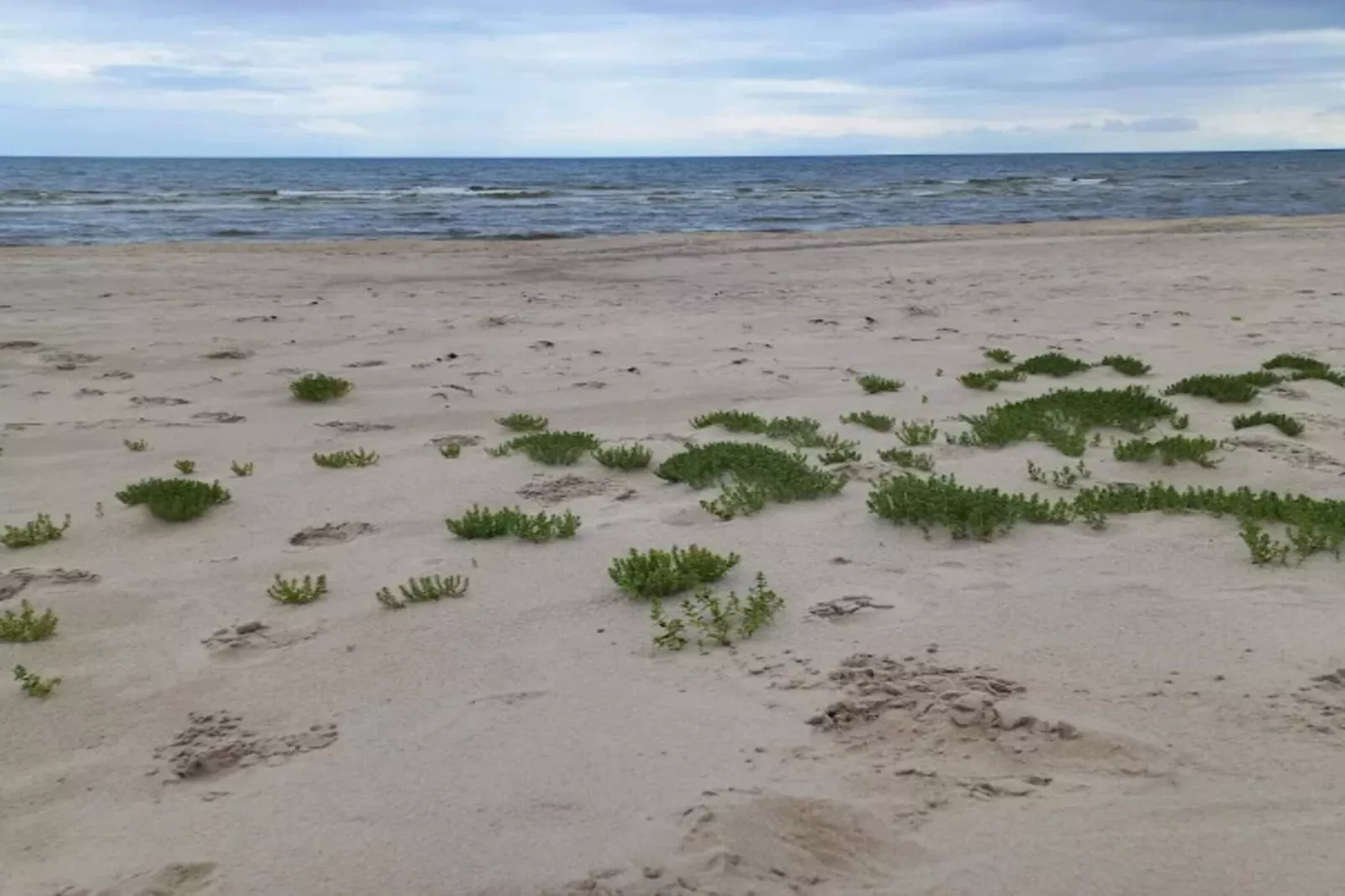 4 star holiday home in Ålbæk-Water view