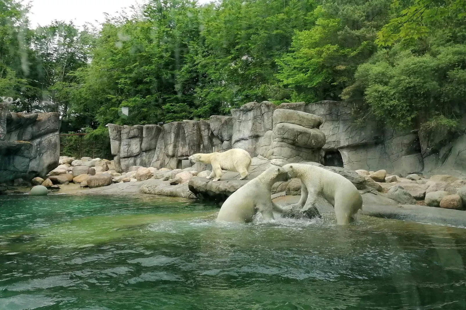 4 Sterne Ferienhaus in Aalborg-Wasserblick