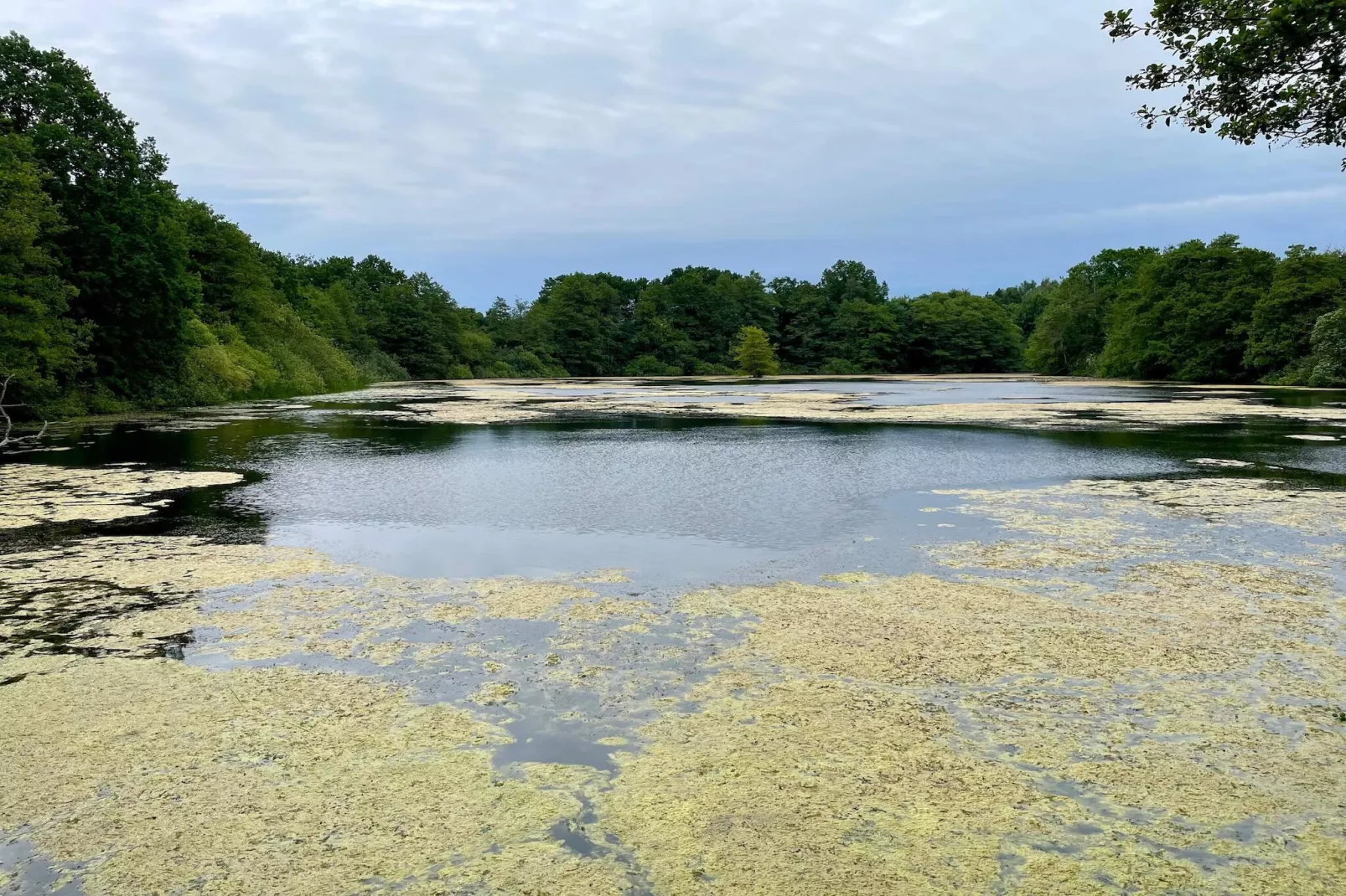 4 etoiles maison de vacances a Vedbæk-Vue sur l'eau