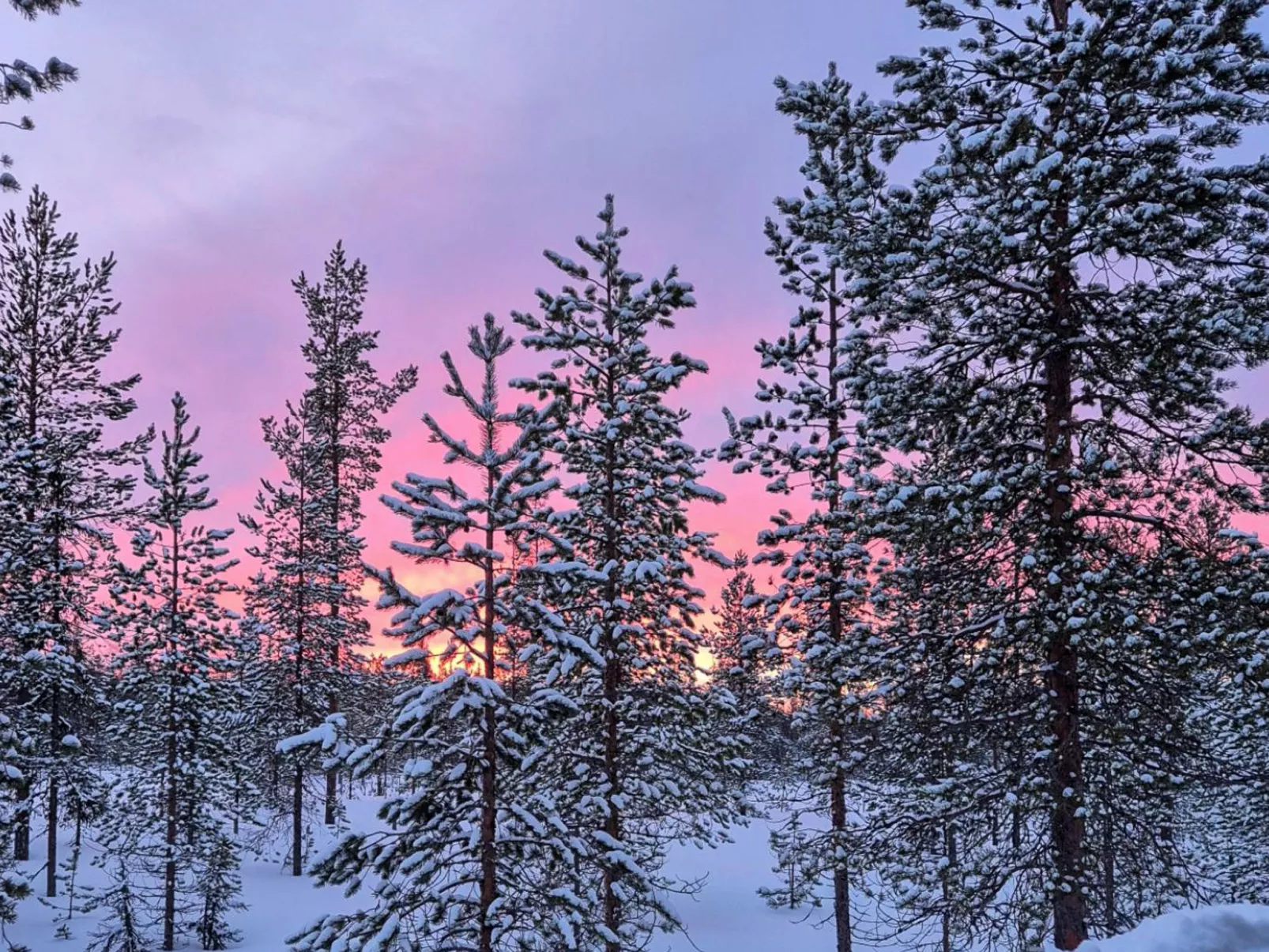 Päivänsäde 8 lapinkulta-Drinnen