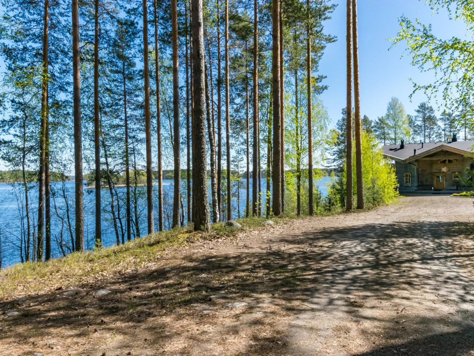 Villa pyöriäinen-Dedans