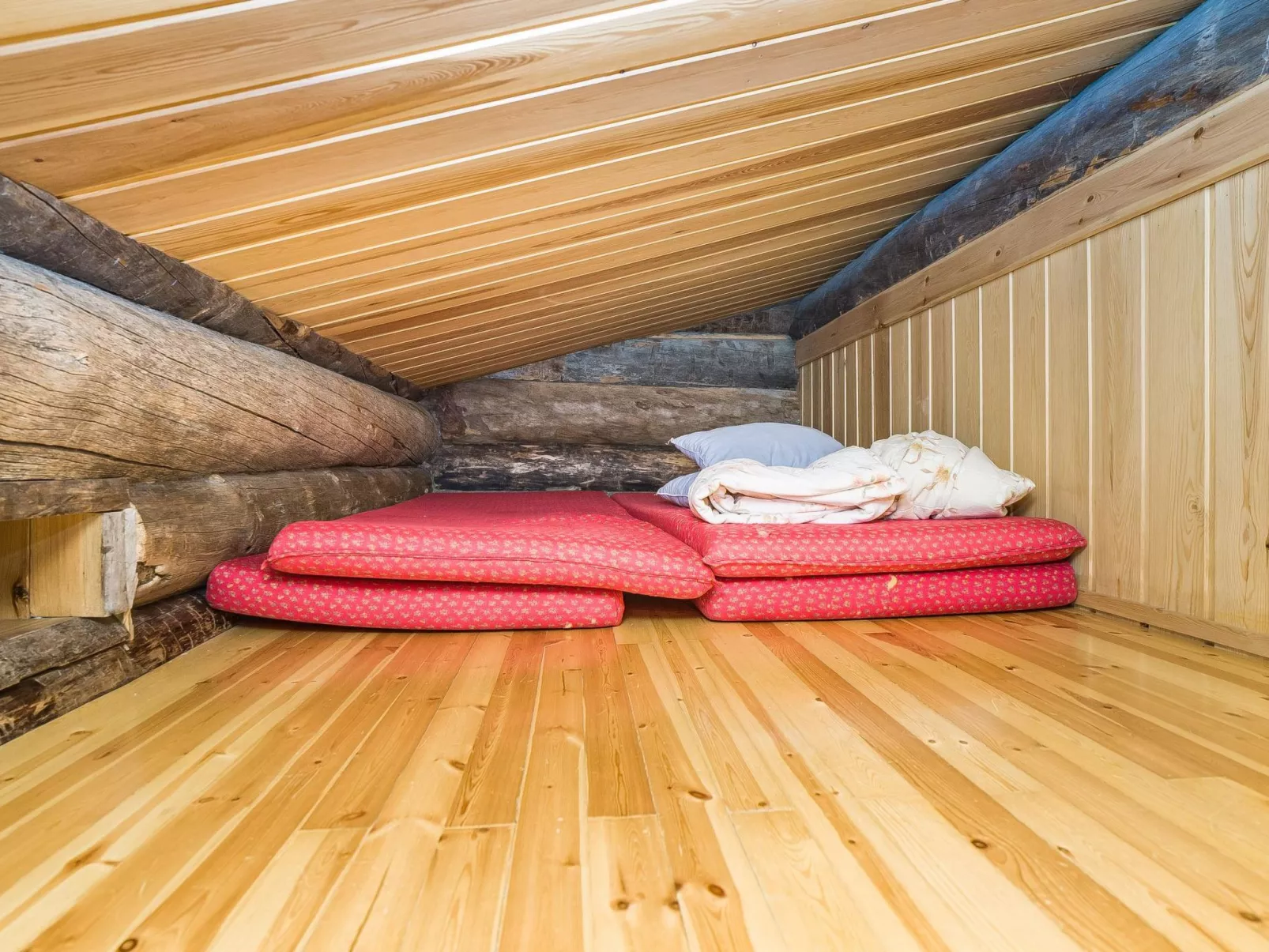 Kuontijärvi b-Dedans