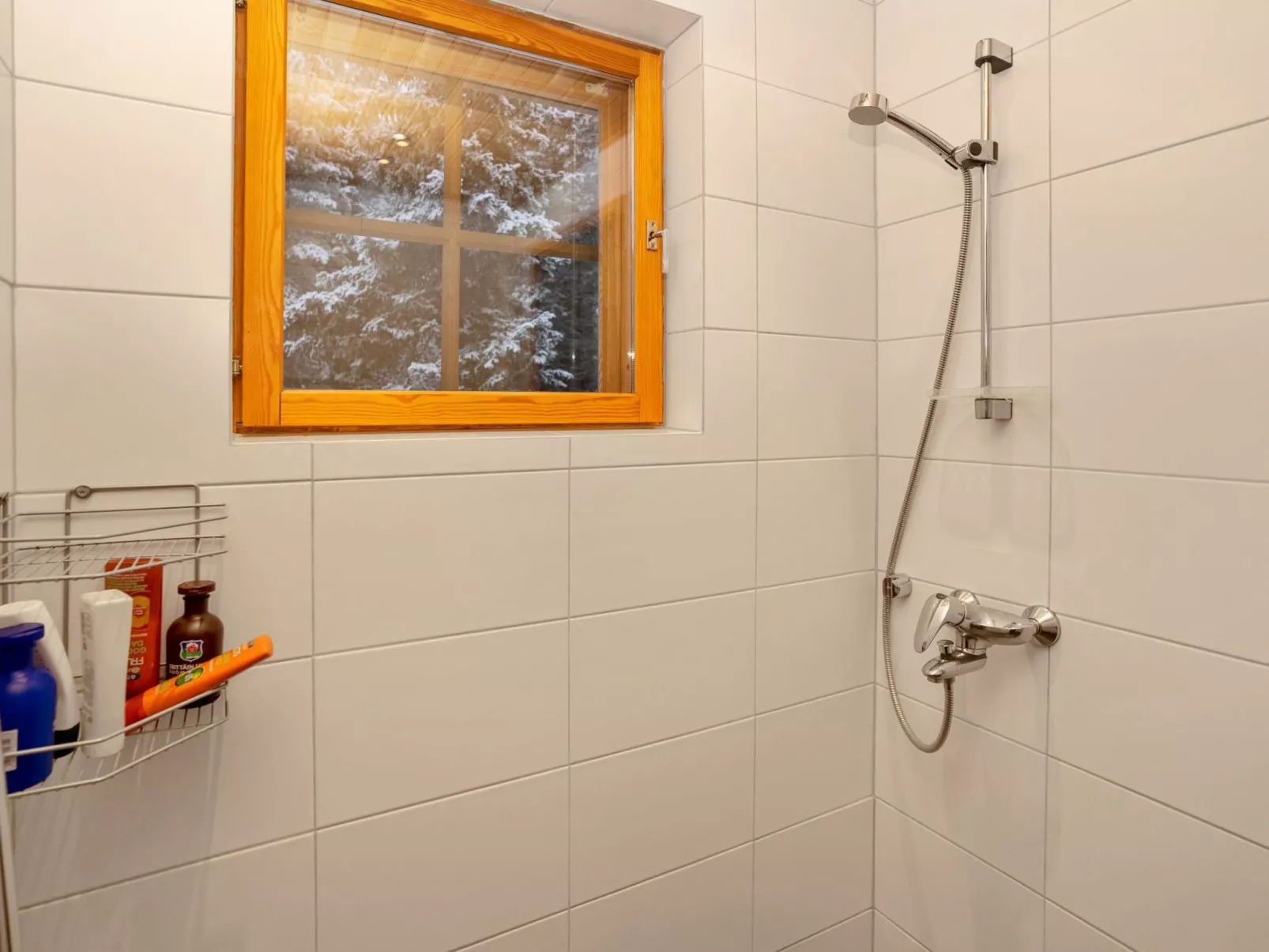 Ihtingin koskikara-Dedans