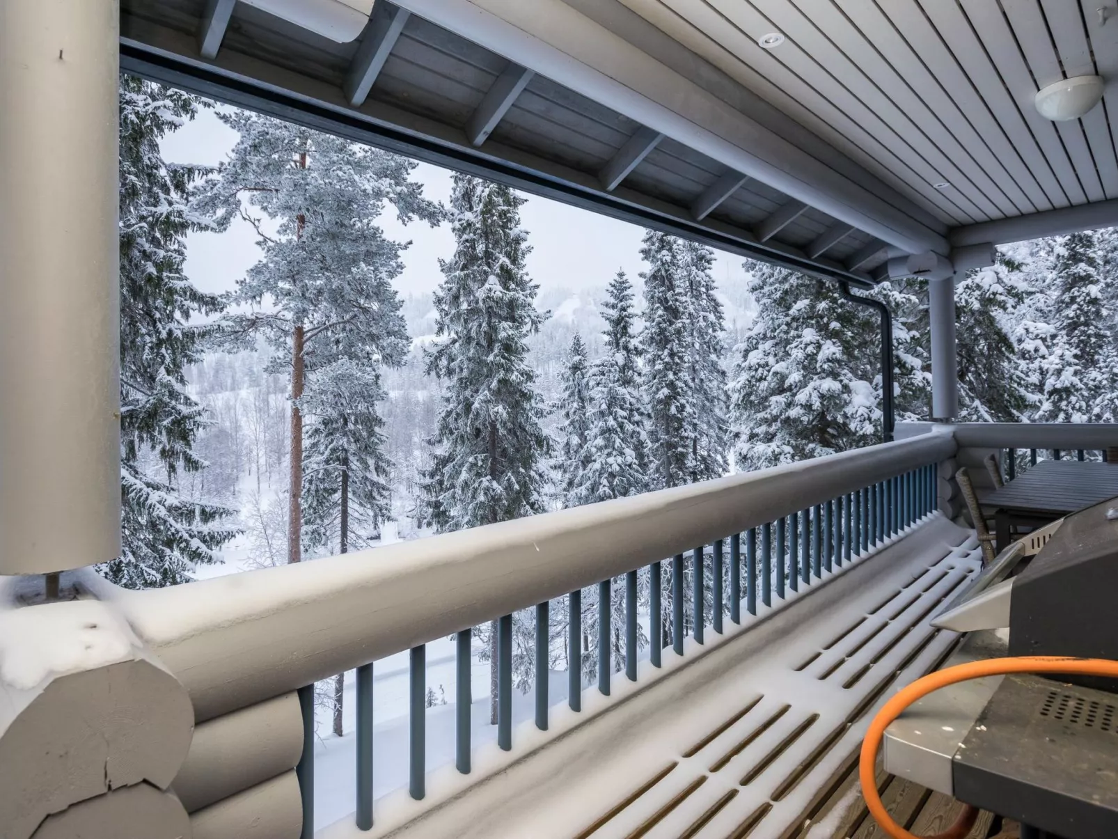 Karhunpesä c-Dedans