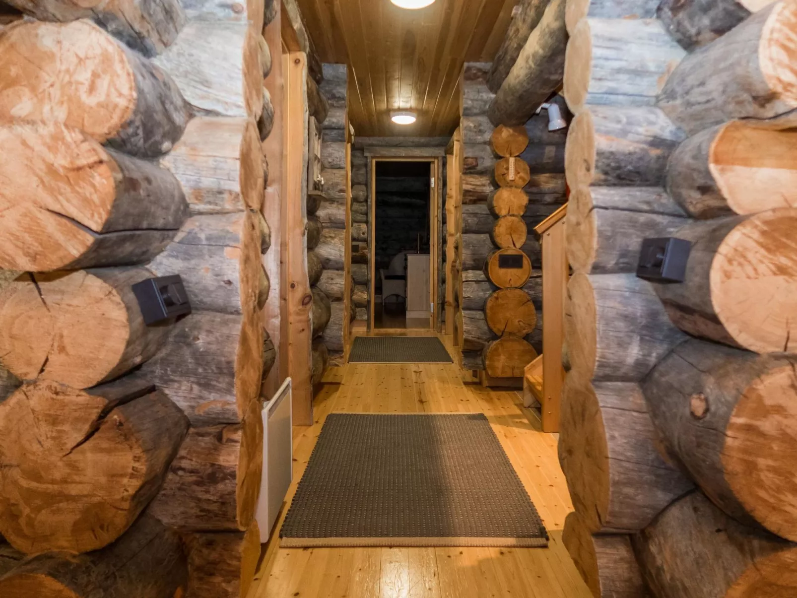 Ruka-rokova 2-Dedans