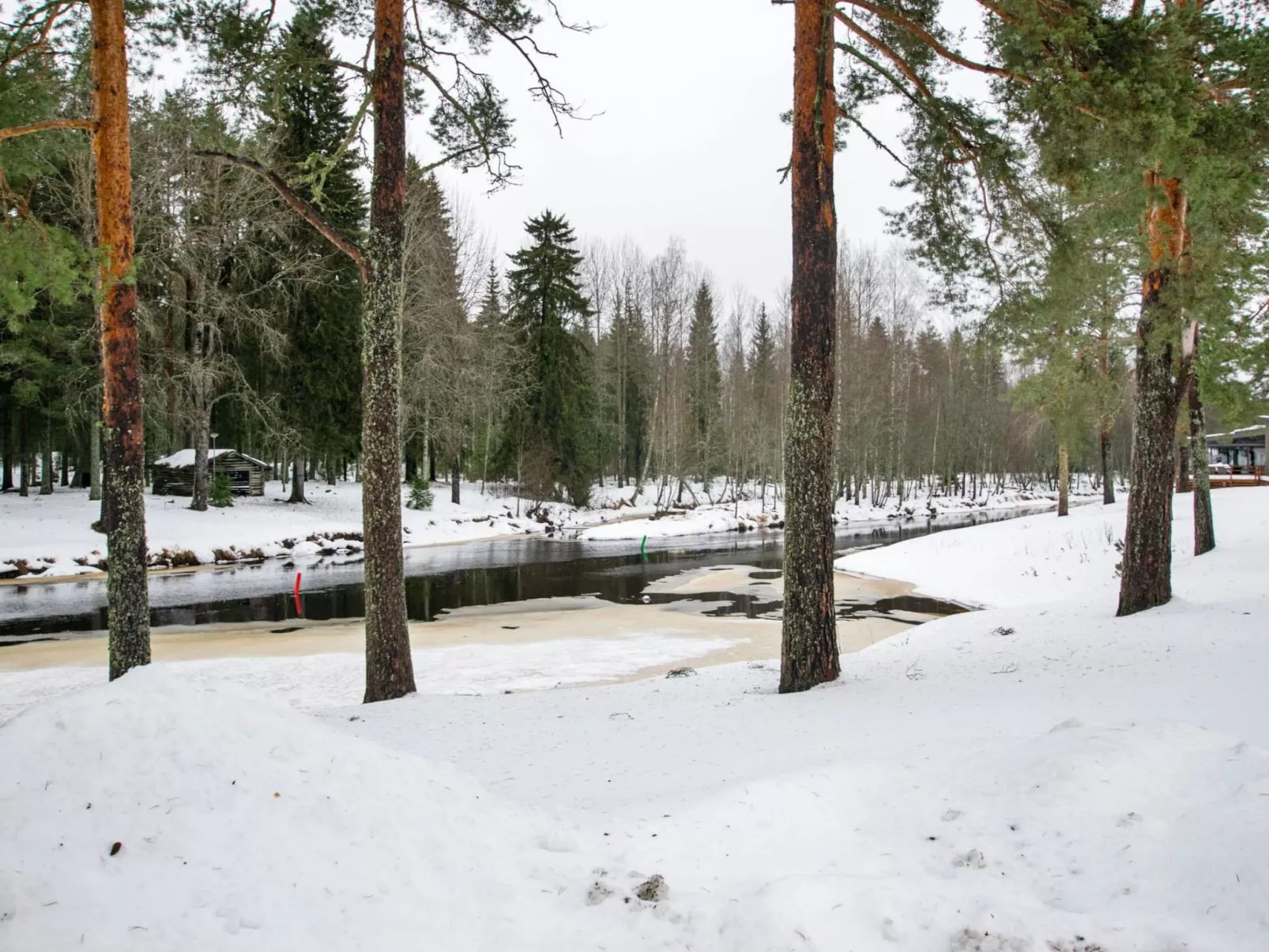 Kartanohuoneisto heikki-Dedans