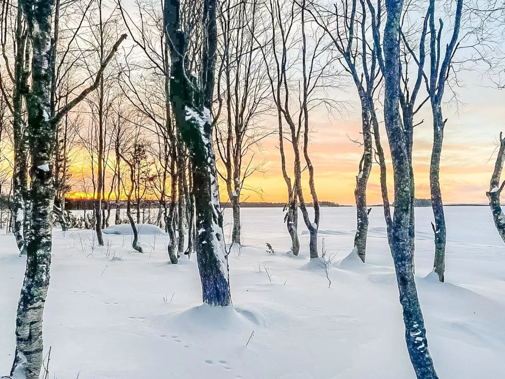 Villa rukan kesäniemi-Dedans