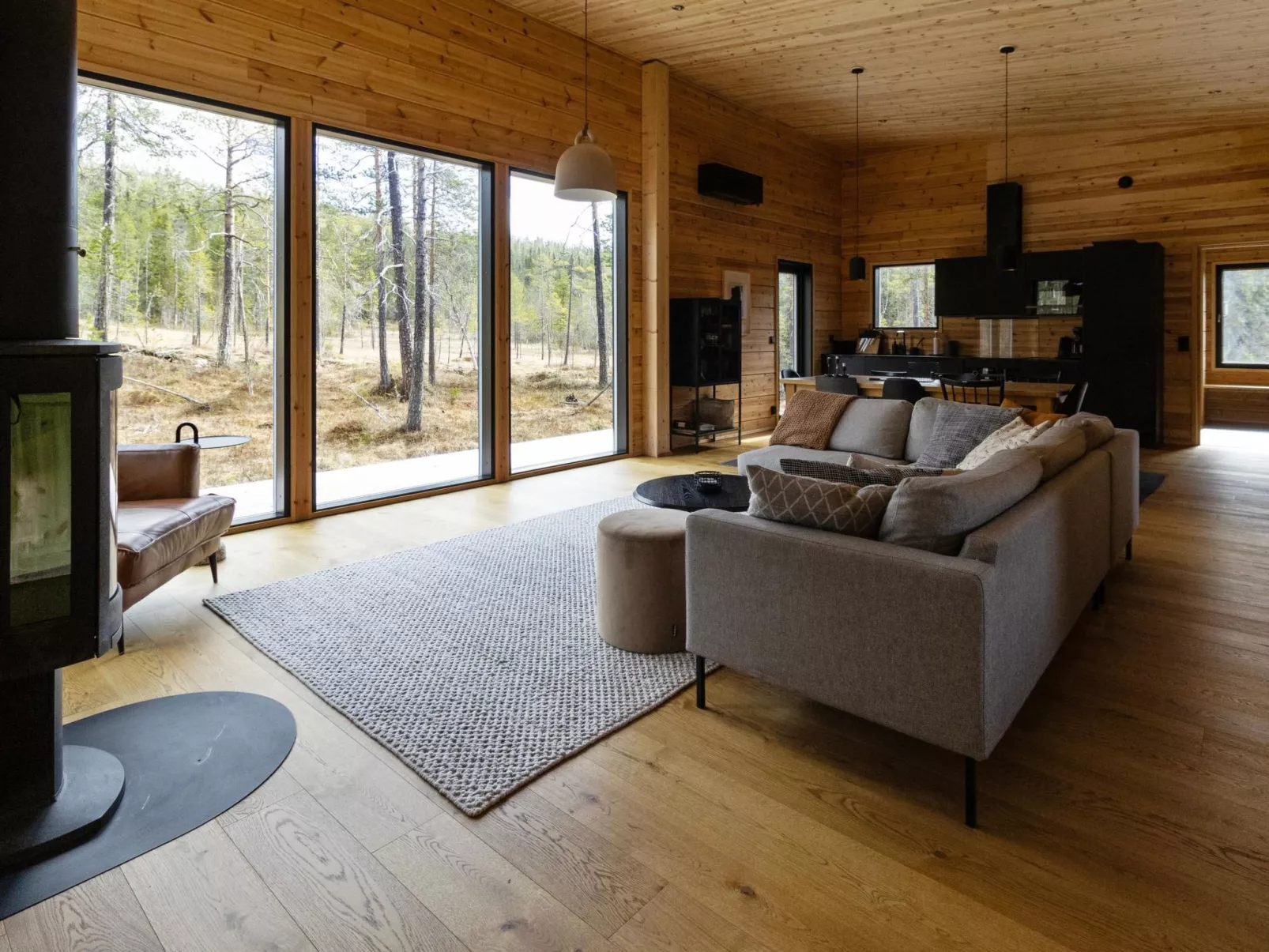 Sallan kuukkeli-Dedans