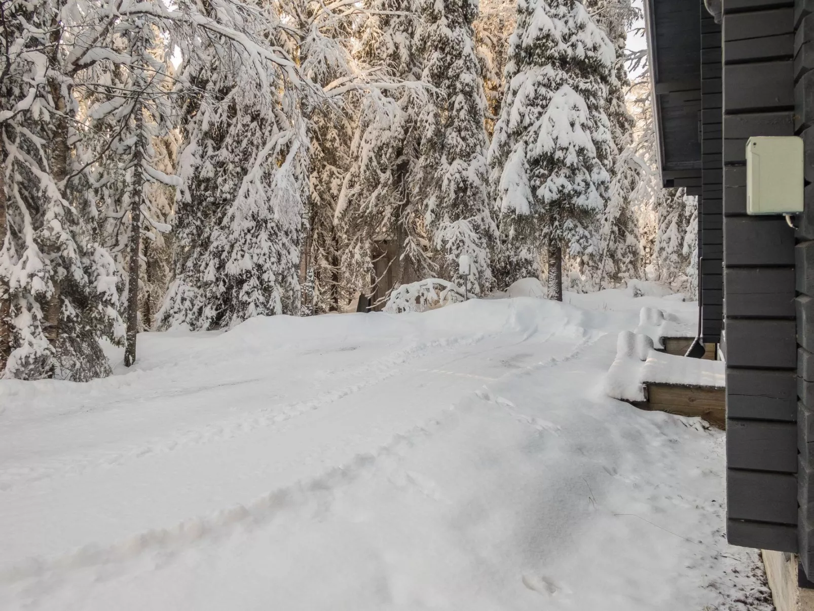 Rukantaika 1b-Dedans