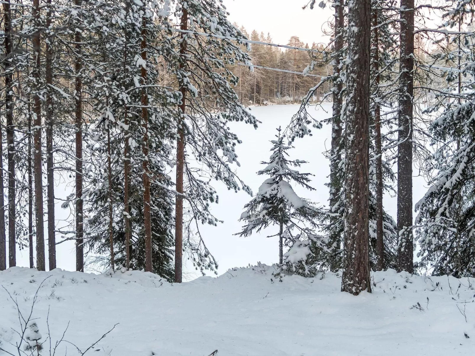 Viipusjärvi 11-Drinnen