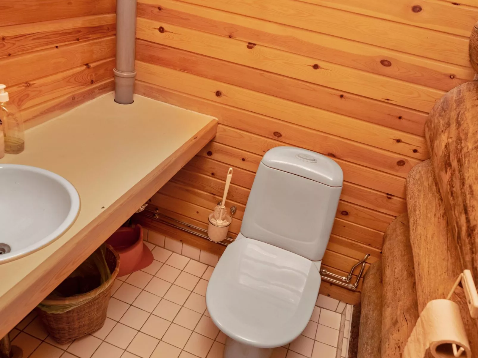 Villihanhi 7b-Dedans