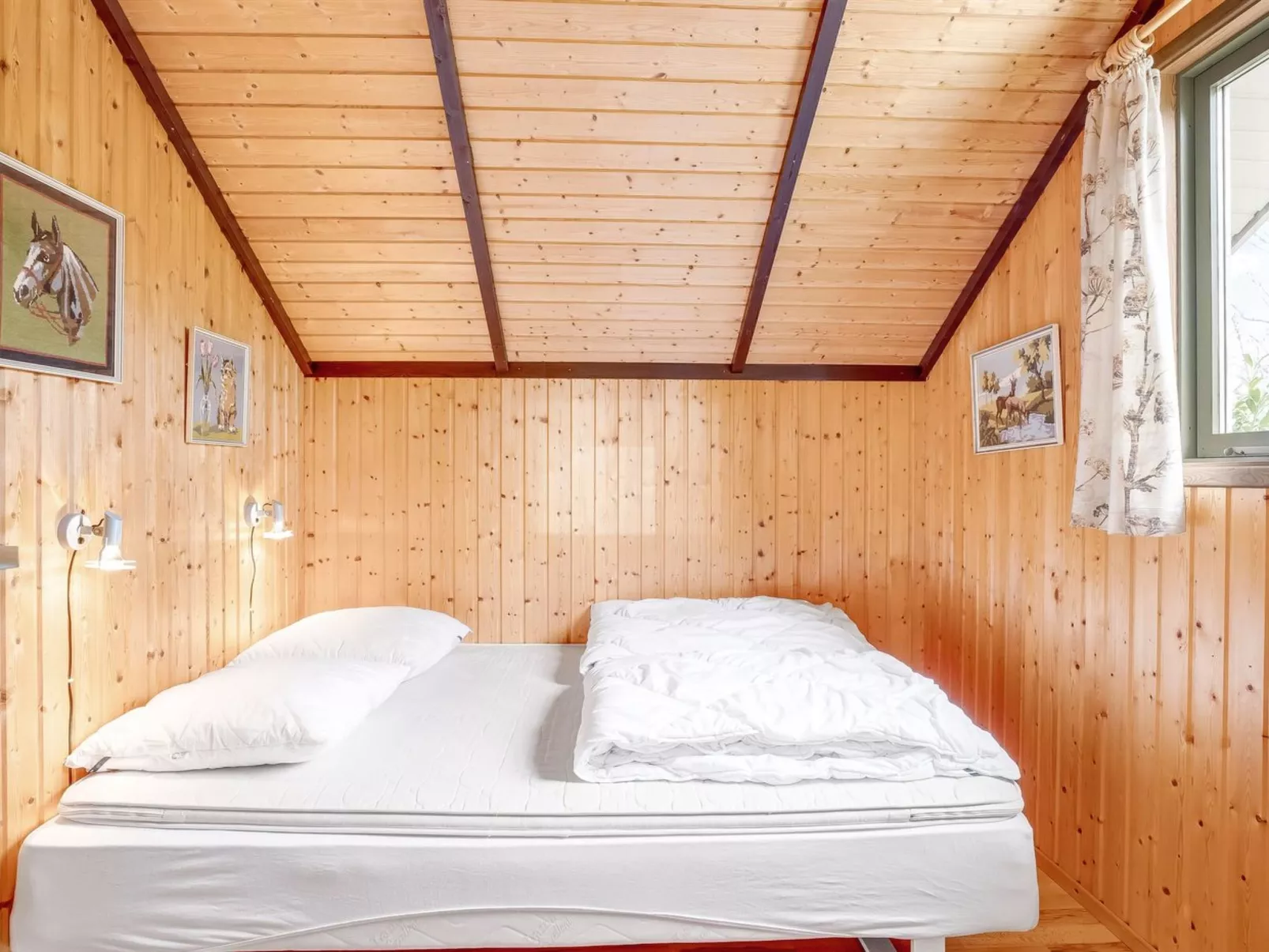 "Ovine" - 900m from the sea-Inside