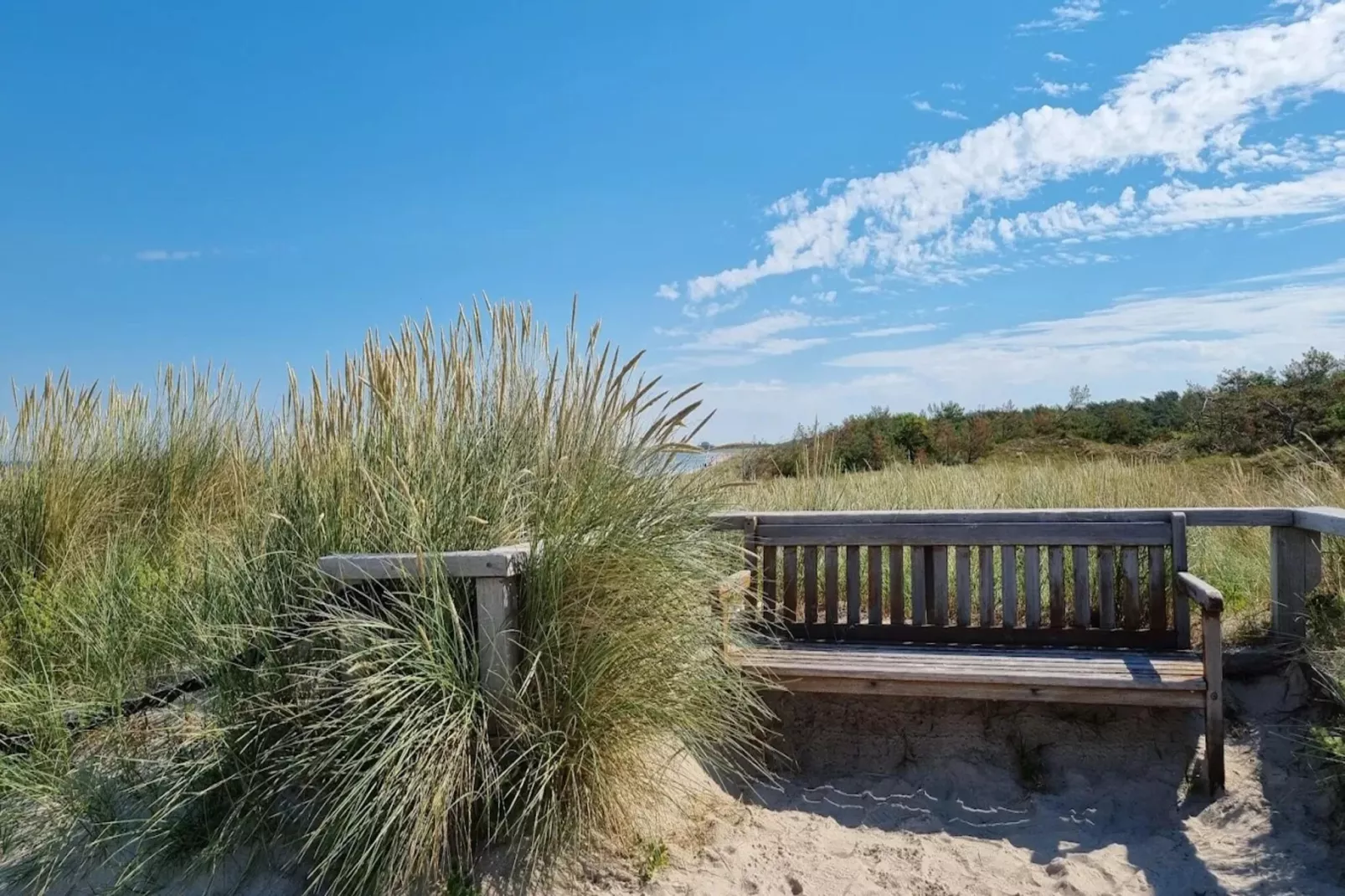 Familienhaus - Haus Sonne - Strandhotel Fischland-Gebiete Sommer 5 km