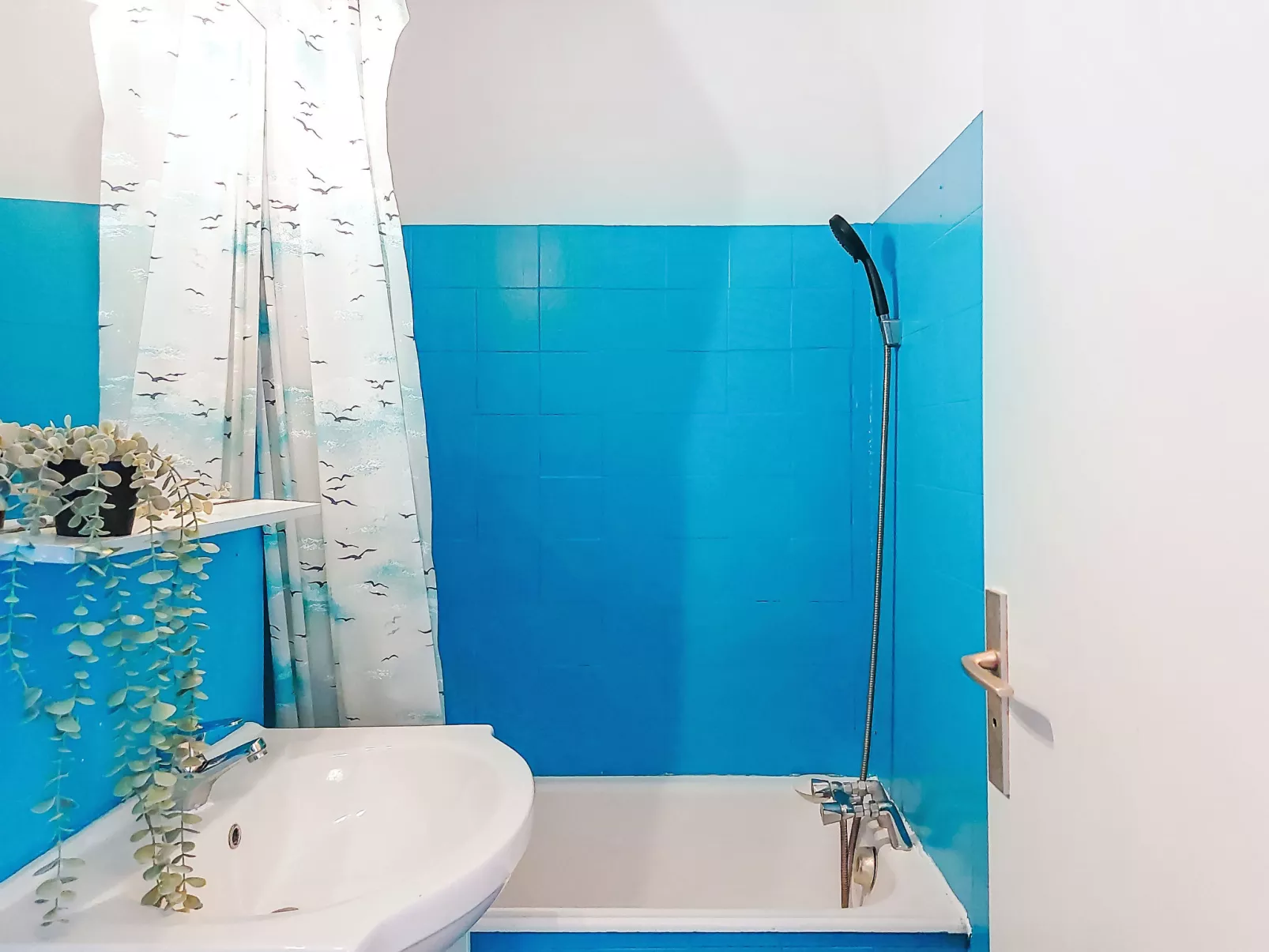 Coudalère/Les Hébrides-Inside