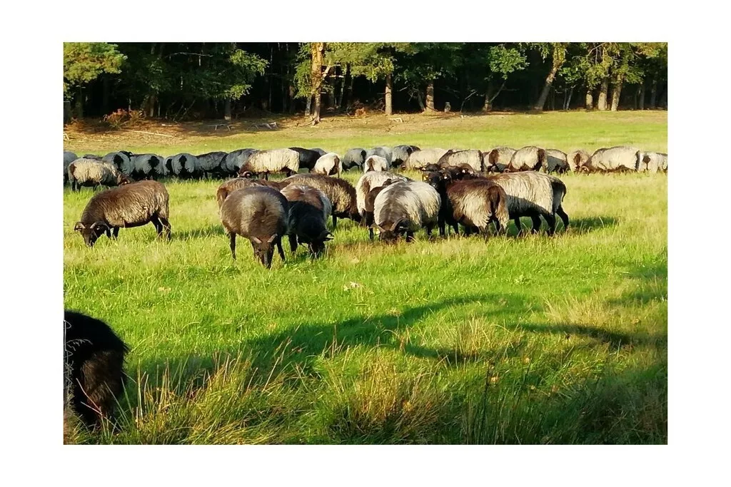 535029-Nicht zugeordnet