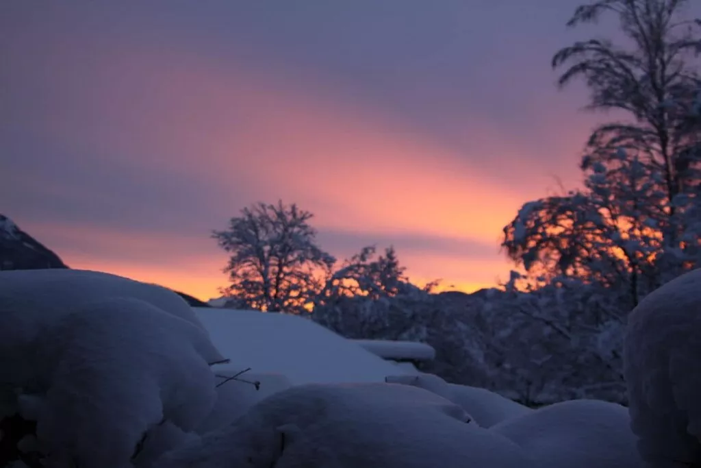 220118-Nicht zugeordnet