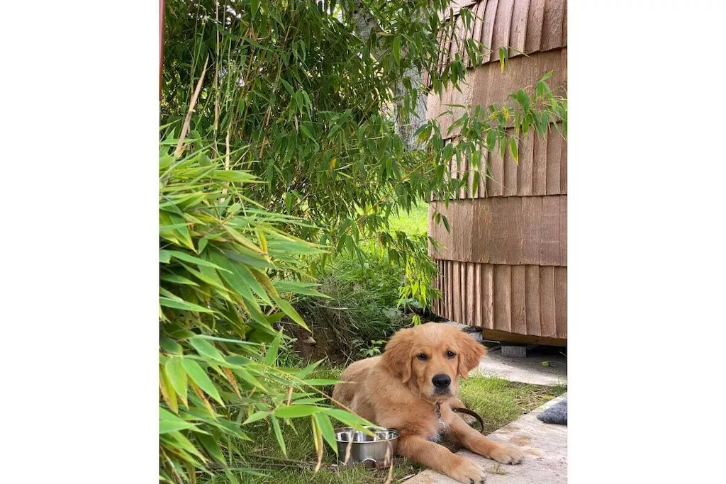 230107-Nicht zugeordnet