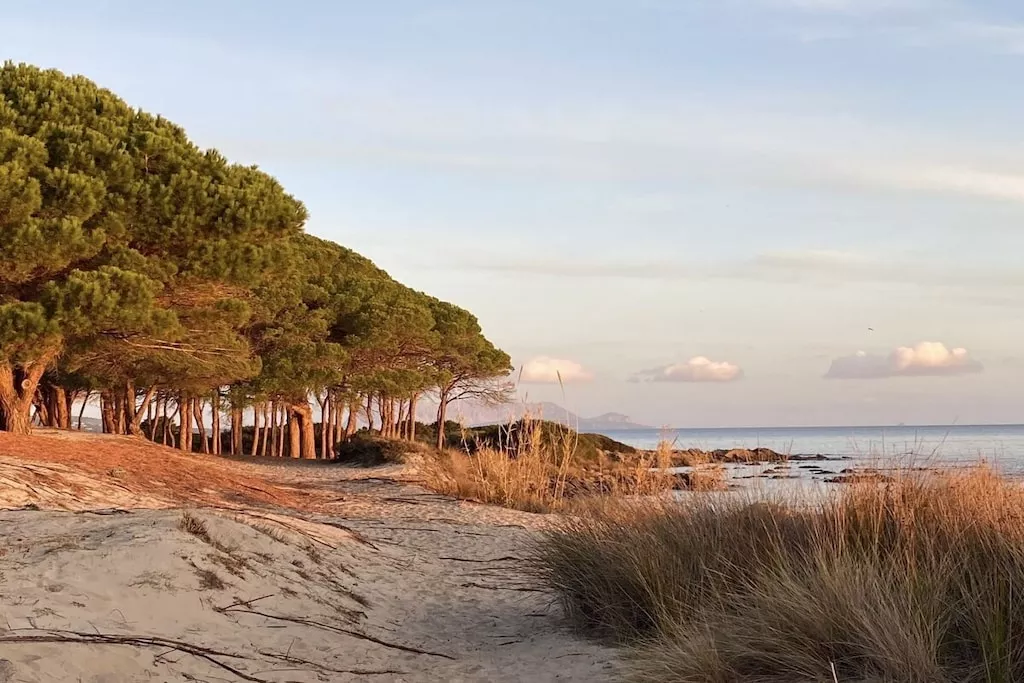 538929-Nicht zugeordnet