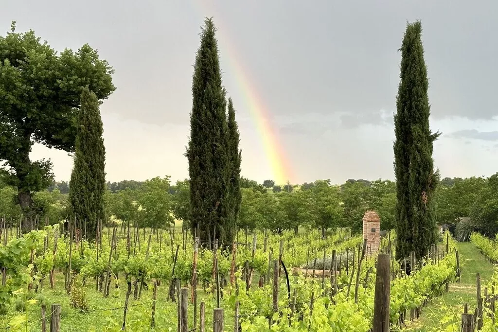 539347-Nicht zugeordnet