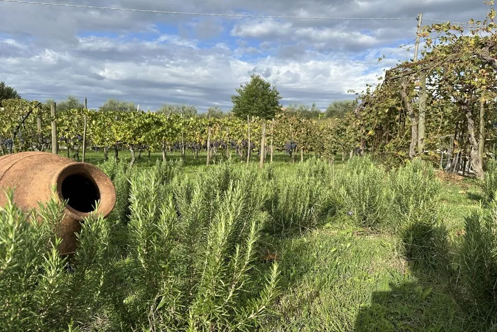 539353-Nicht zugeordnet