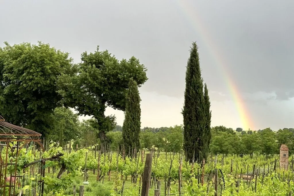 539355-Nicht zugeordnet