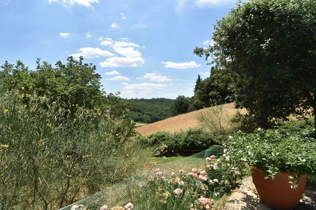 256322-Nicht zugeordnet