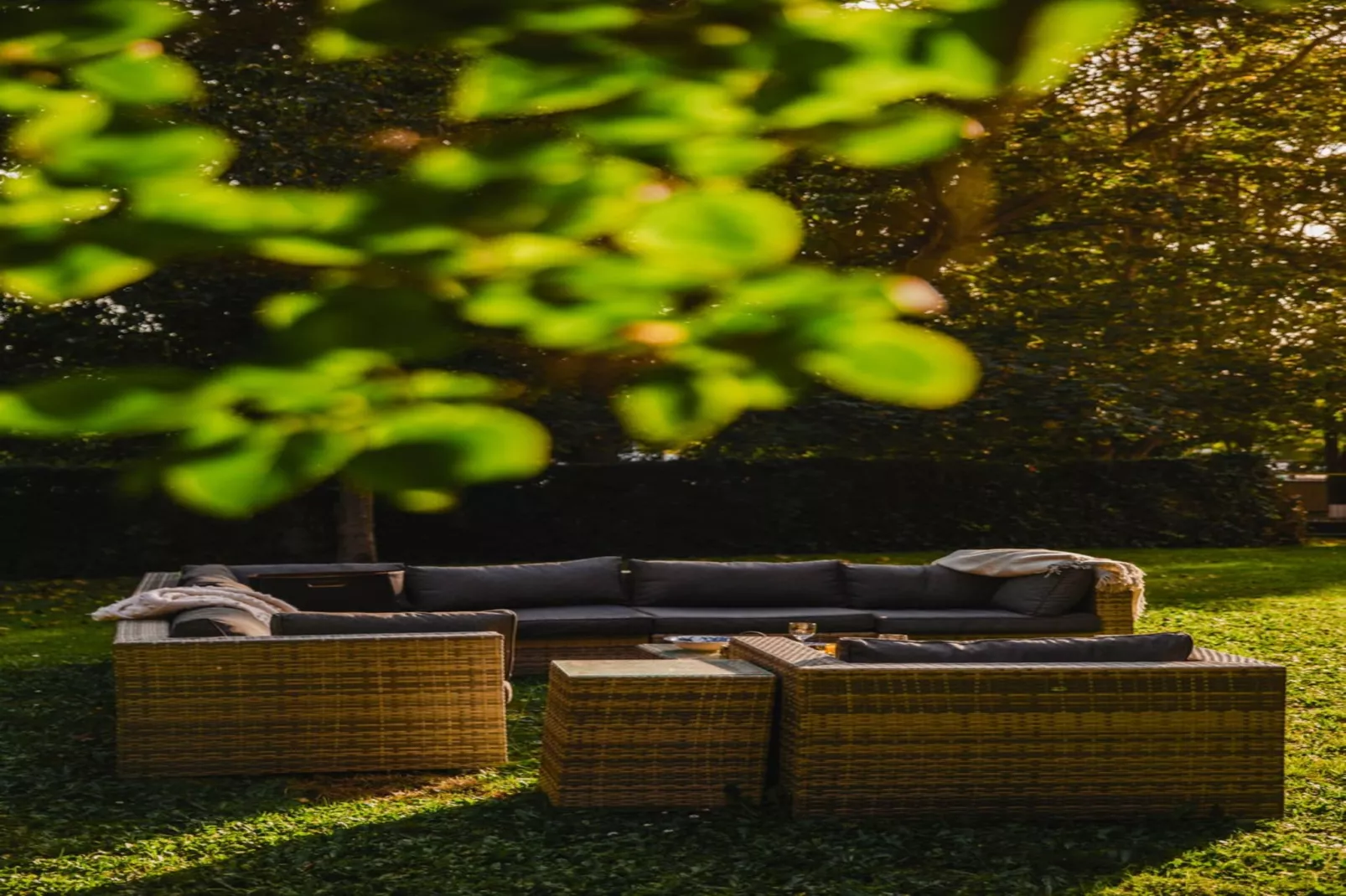 DEAUVILLE RAINGOLD-Nicht zugeordnet