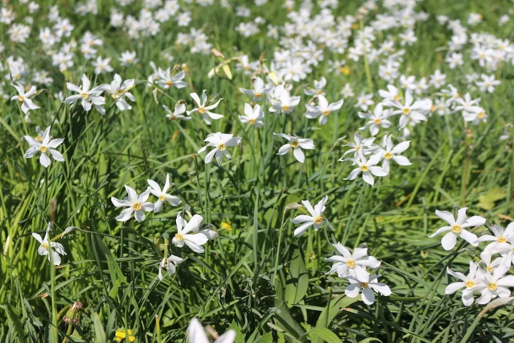 194679-Nicht zugeordnet