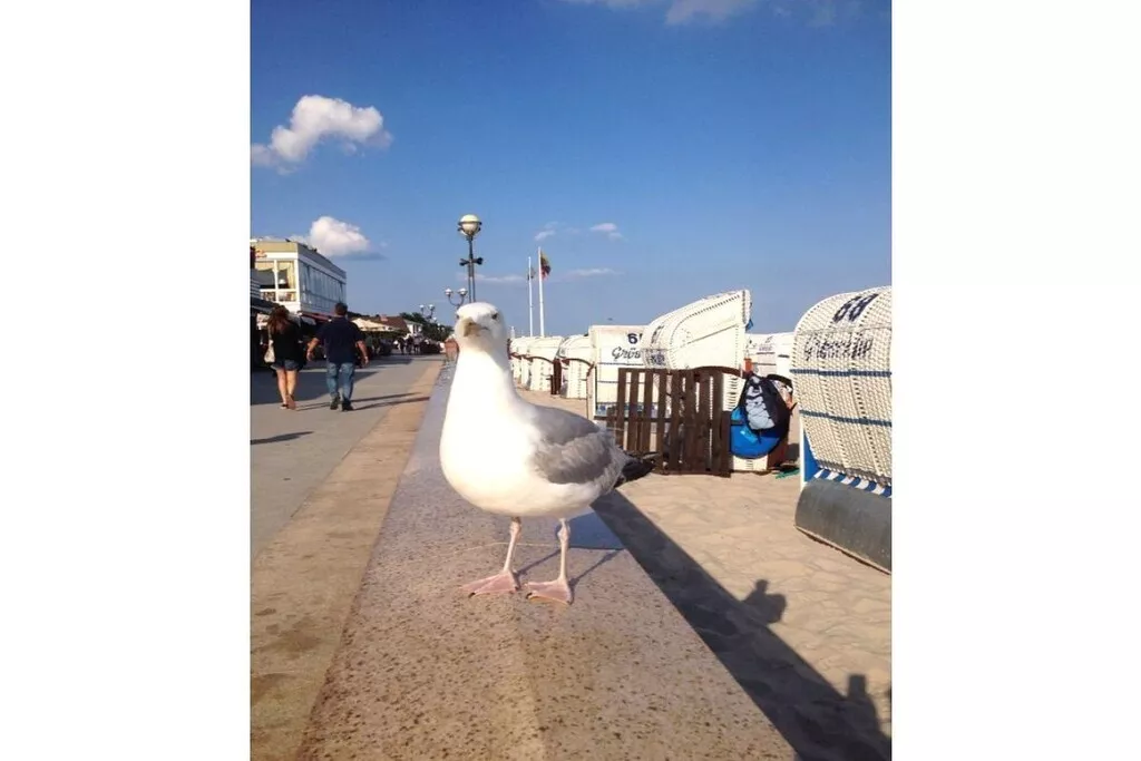 143865-Nicht zugeordnet