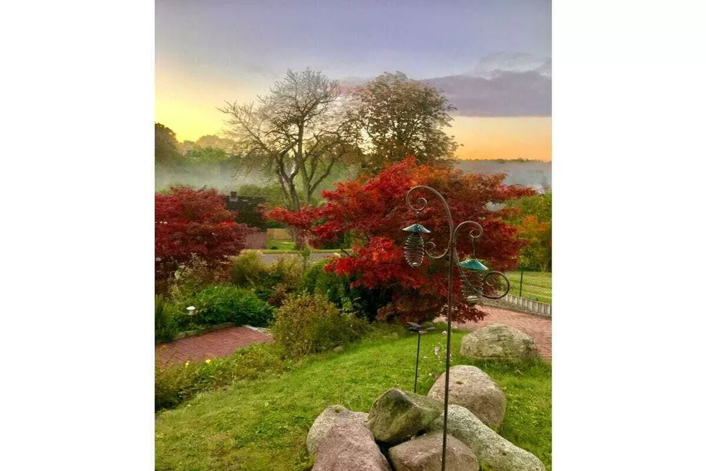 573225-Nicht zugeordnet