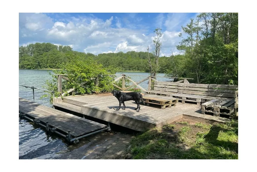 316903-Nicht zugeordnet