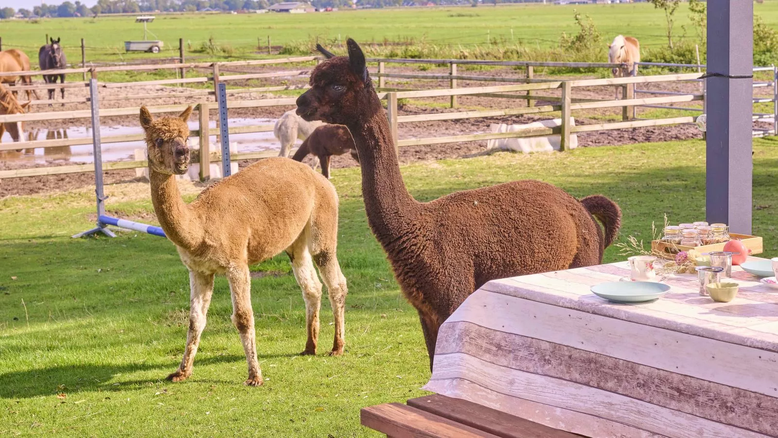 Alpa Casa-Zones été à 1 km
