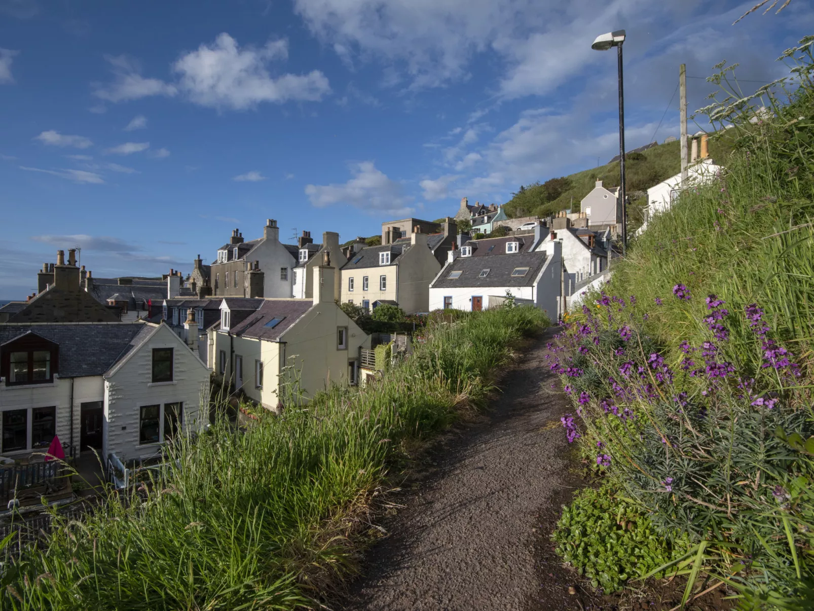 Ellie-Jo Cottage-Dehors