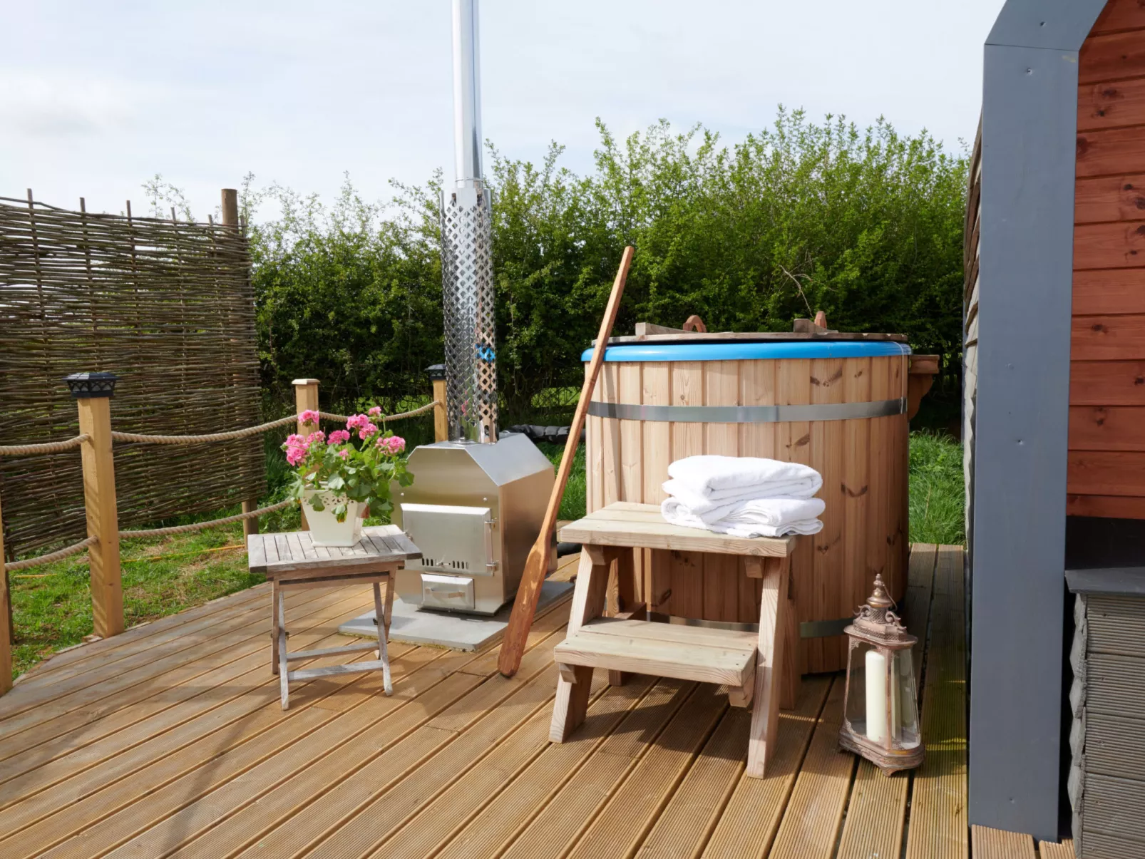 The Cornflower-Dedans