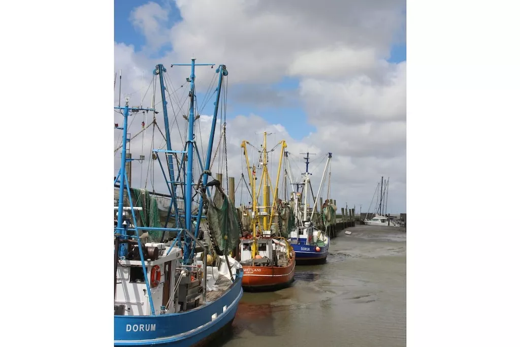 398193-Nicht zugeordnet