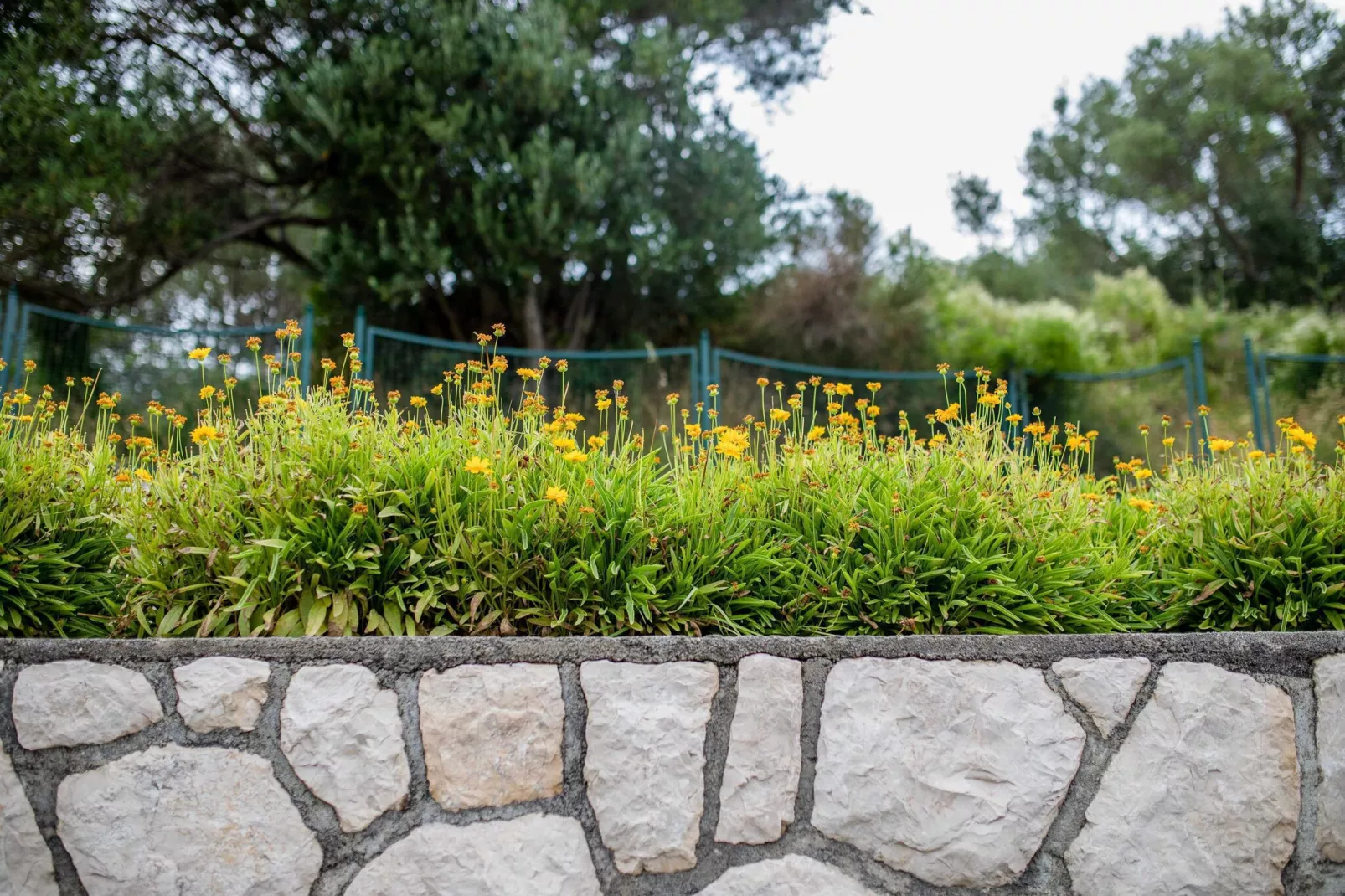 Guest House Villa Anggela - Comfort Triple room with Balcony and Sea View (Br4)-Outdoor