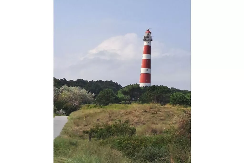 492472-Nicht zugeordnet