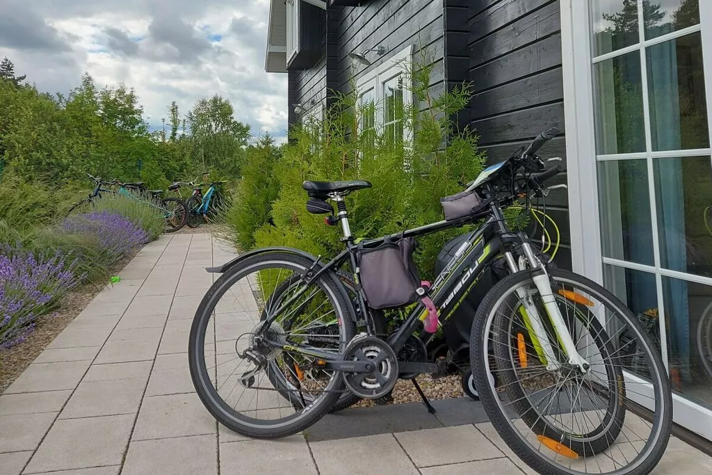 241695-Nicht zugeordnet