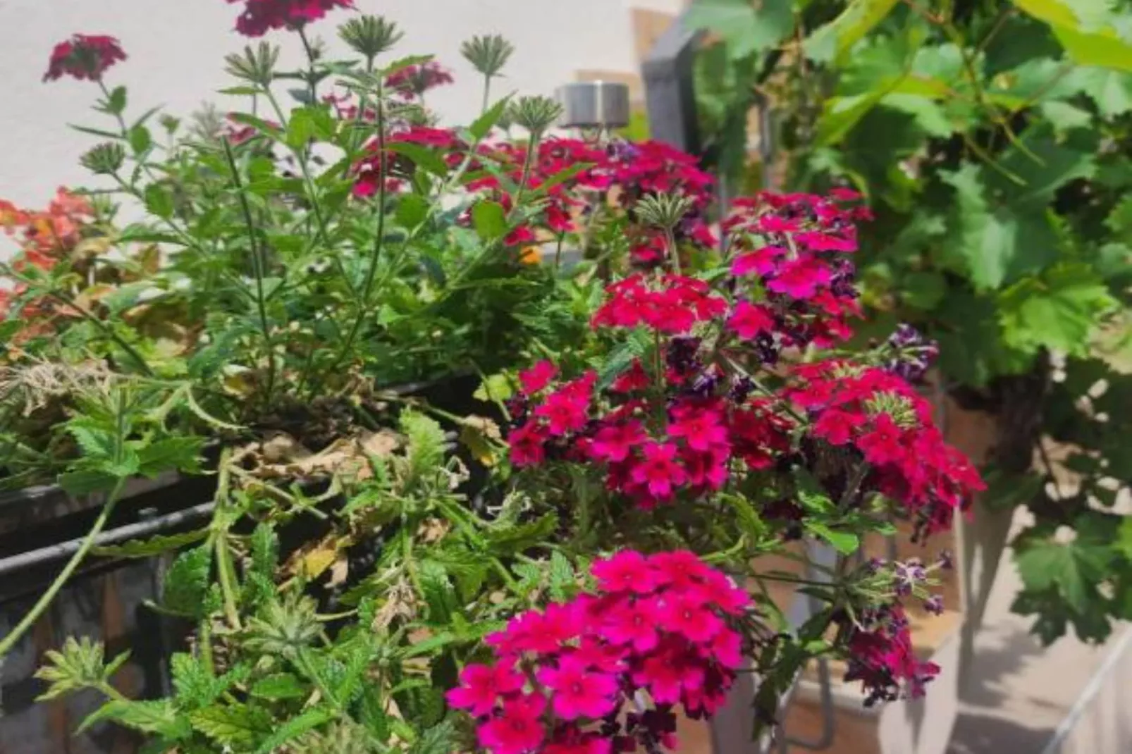 Deluxe City Escape with Modern Comforts & Garage - Double Room-Im Freien