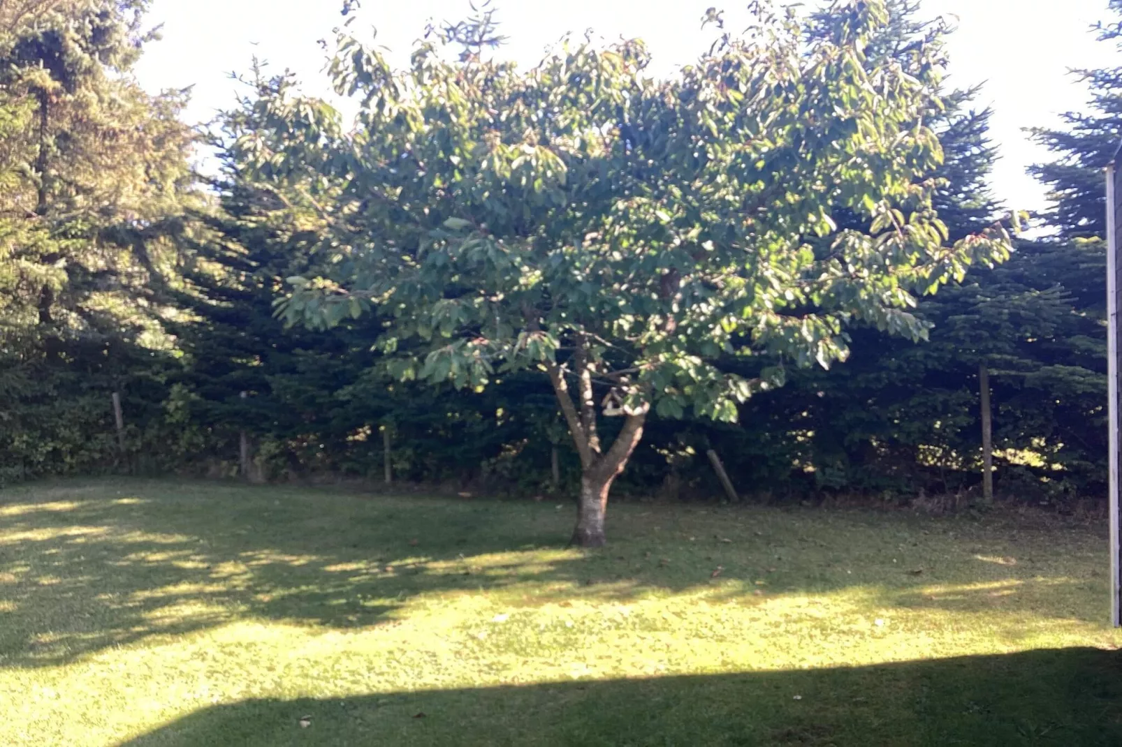 4 Sterne Ferienhaus in Væggerløse-Im Freien