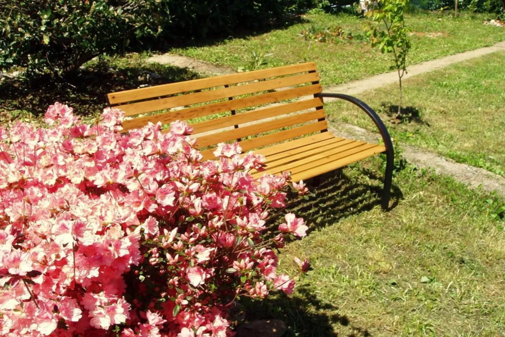 Charming Apartments Kestenovi Dvori - Studio Apartment (A6)-Jardins en été