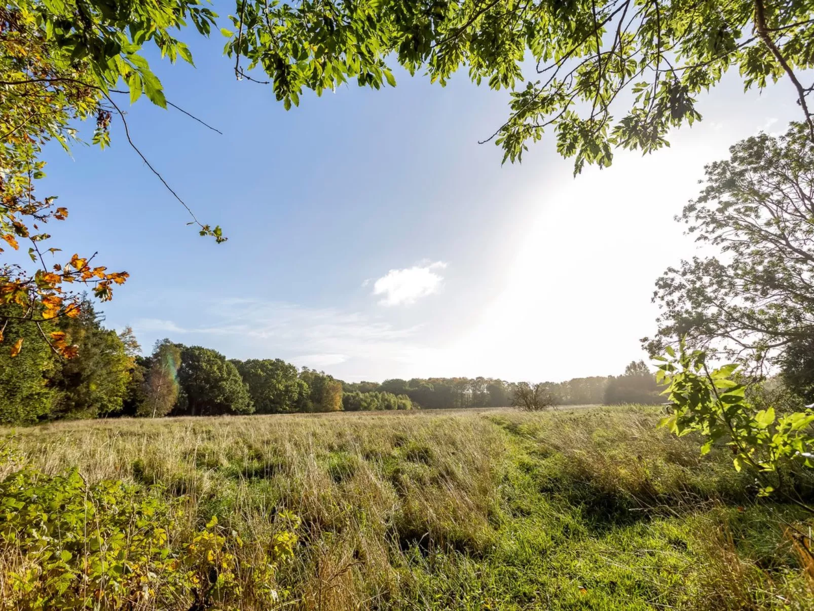 "Cornel" - 300m from the sea-Draußen