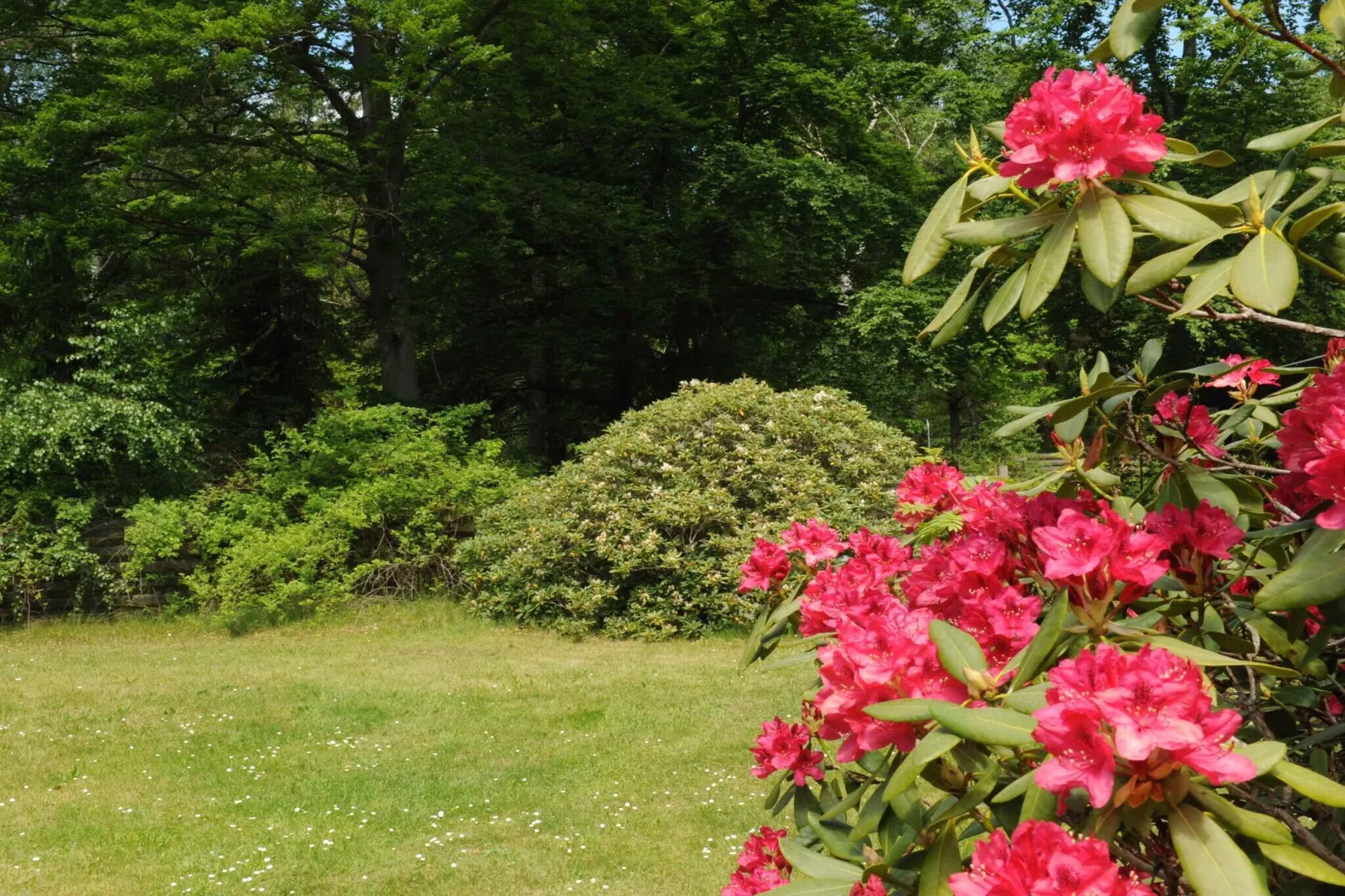 5 Sterne Ferienhaus in Frederiksværk-Im Freien